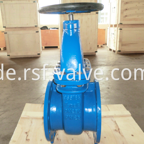 Bs5163 Type B Pn25 Dn250 Gate Valve